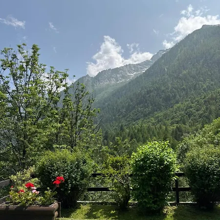 Il Pruno Del Rosa *