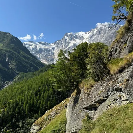 Il Pruno Del Rosa Chalet