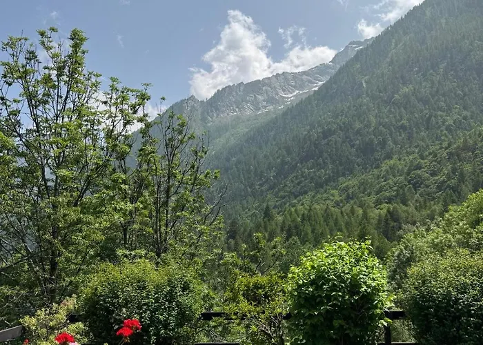 Il Pruno Del Rosa *