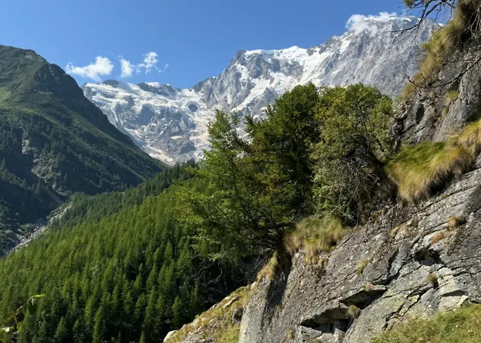 Il Pruno Del Rosa Chalet